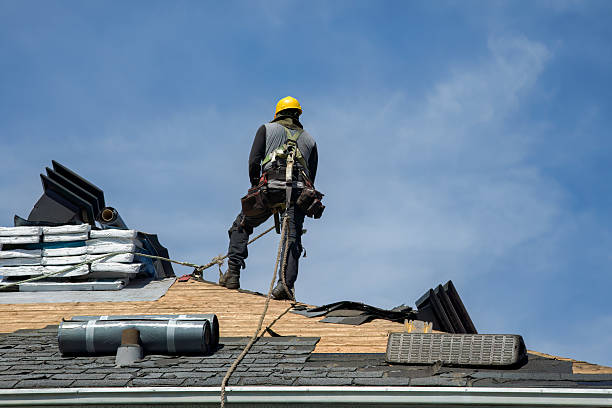 Professional Flat Roof Repair technician working in Coal Valley, IL